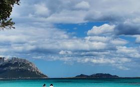 Vacanze Da Sogno A Pochi Km. Da Olbia